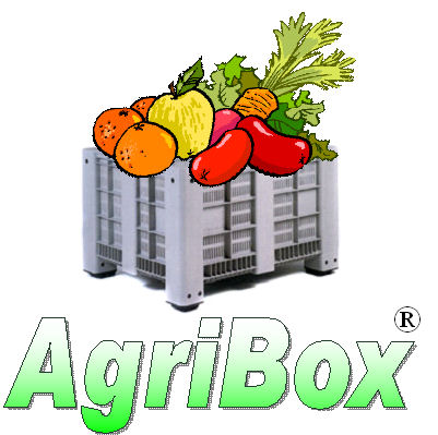 Logo di PALLET,  BOX  &  PORTABOBINE S.r.l.        /  BANCALI S.r.l.s. 